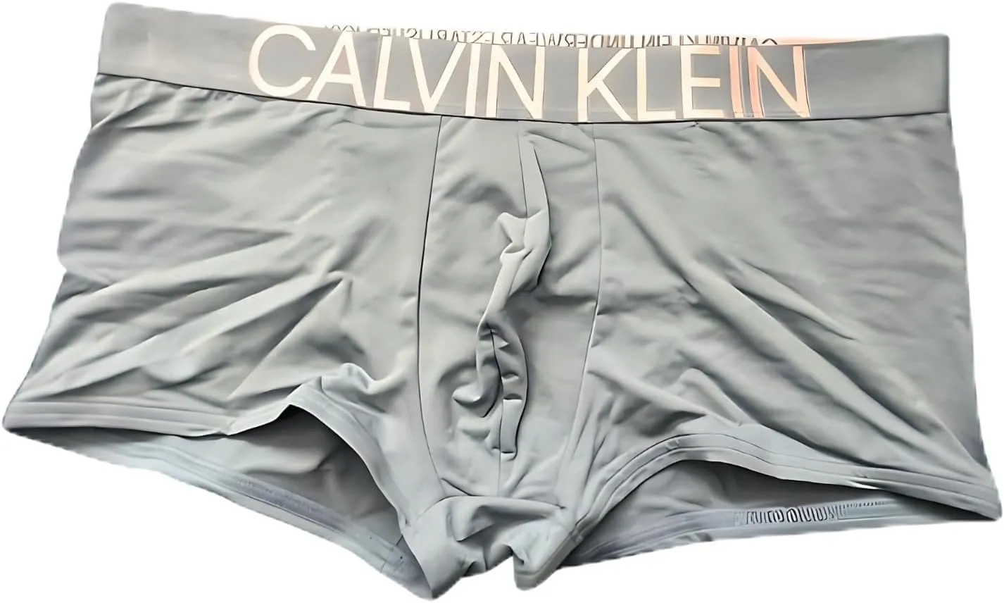 Calvin Klein Statement 1981 Microfiber Low Rise Trunks (US, Alpha, Small, Regular, Regular, Grey)